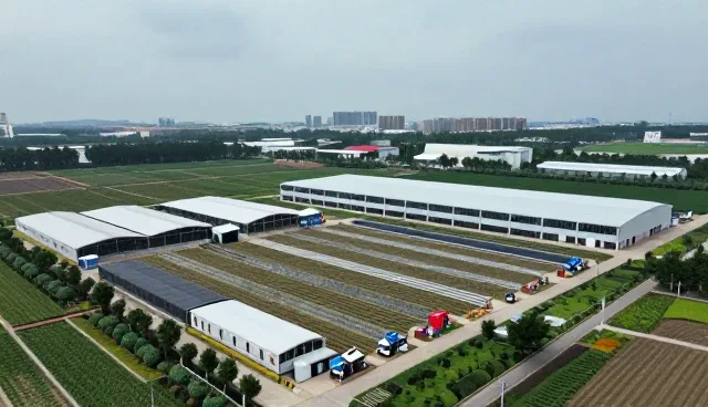 产品设计为批发供货提供更多可能